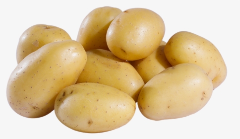 Pomme De Terre Jazzy, HD Png Download, Free Download
