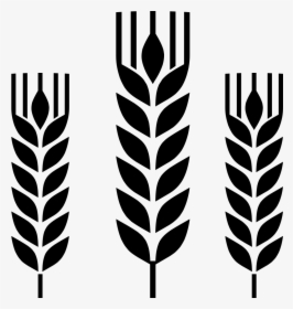 Valley Potato Grains - Cereals Icon, HD Png Download, Free Download