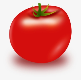 Tomato,superfood,plant - Tomato Cliparts, HD Png Download, Free Download