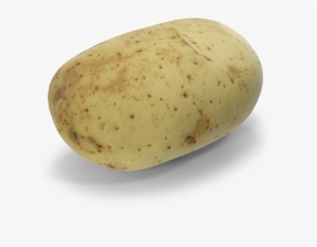 Potato Png Photo - Yukon Gold Potato, Transparent Png, Free Download