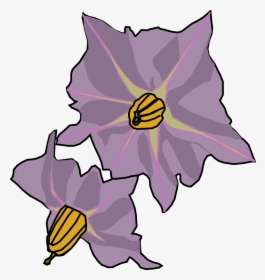 Potato Flower Drawing Clipart , Png Download - Potato Flower Drawing, Transparent Png, Free Download