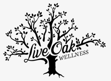 Transparent Live Oak Tree Clipart - Oak Tree Clip Wellbeing, HD Png Download, Free Download