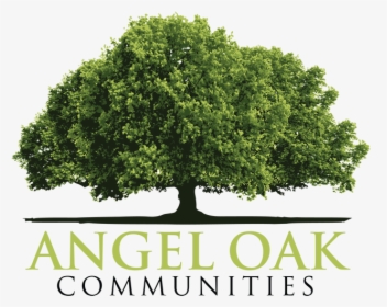 Angel Oak Communities - Mexican Pinyon, HD Png Download, Free Download