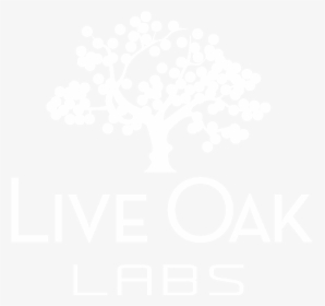 Live Oak Labs - Aorus Gtx 1050 Ti, HD Png Download, Free Download