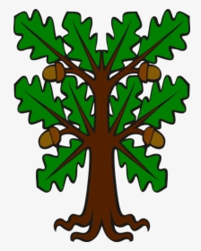 Acorn Leaf English Oak White Oak Southern Live Oak - Cartoon Oak Tree With Acorns, HD Png Download, Free Download