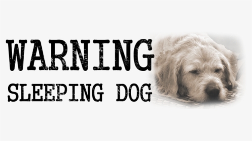 Sleeping Dog - Parcheggio Ciampino, HD Png Download, Free Download