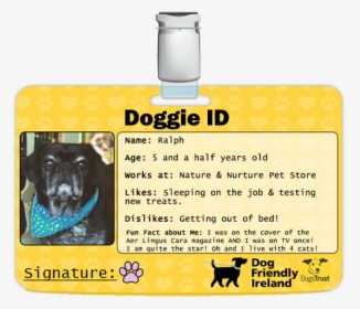 Dogs Trust, HD Png Download, Free Download