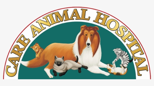 Care Animal Hospital Logo2 - Rough Collie, HD Png Download, Free Download