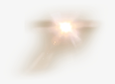 Lens Flare Png Transparent Background - Insect, Png Download, Free Download