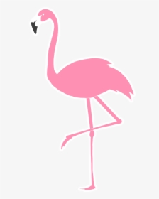 Flamingo 20rb Edited 2 Small - Flamingo Clipart Stickers, HD Png Download, Free Download