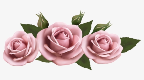 Beautiful Roses Png Picture - Invitation Message For Sunderkand Path, Transparent Png, Free Download