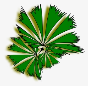 Palm Tree Clipart Top - Top View Tree Png, Transparent Png, Free Download