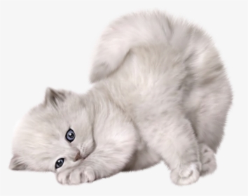 Cat Png - Cute Cat Transparent Background, Png Download, Free Download