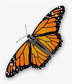 Download For Free Butterfly High Quality Png - Monarch Butterfly Transparent Background, Png Download, Free Download