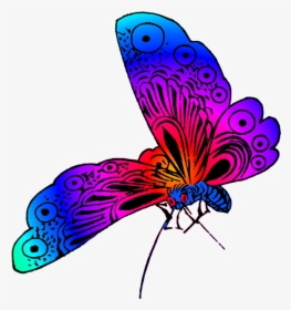 Beautiful Butterfly Image - Beautiful Color Of Butterfly, HD Png Download, Free Download