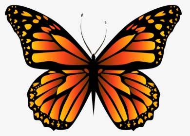 Orange Butterfly Png Clipar Image Yellow Butterfly - Monarch Butterfly, Transparent Png, Free Download