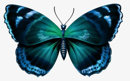 Clip Art Png Image Gallery Yopriceville - Png Free Butterfly Transparent, Png Download, Free Download