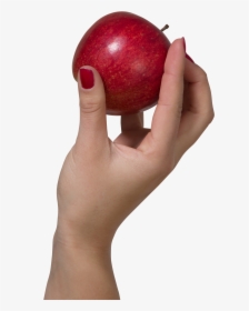 A Hand Holding A Red Apple Png Image - Apple In Hand Png, Transparent Png, Free Download