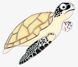 Turtle Vector Png - Hawksbill Sea Turtle Cartoon, Transparent Png, Free Download