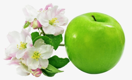 Apple Green Flowers - Green Apple Flower Png, Transparent Png, Free Download