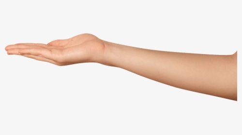 Beautiful Women Hand Png - Hand With Arm Png, Transparent Png, Free Download