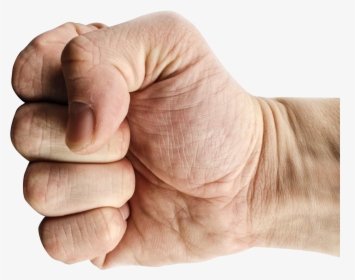 Hand Png, Transparent Png, Free Download