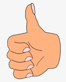 Thumbs Up Thumbs Download Png Clipart - Thumb Clipart, Transparent Png, Free Download