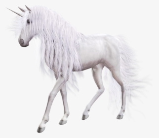 Unicorn Png, Transparent Png, Free Download
