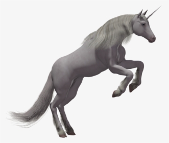 Unicorn Png Image - Real Unicorn Png, Transparent Png, Free Download