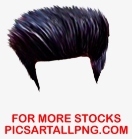 Cartoon Hair PNG Images, Free Transparent Cartoon Hair Download - KindPNG