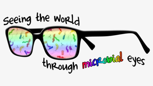 Funny Glasses Png - Colorfulness, Transparent Png, Free Download
