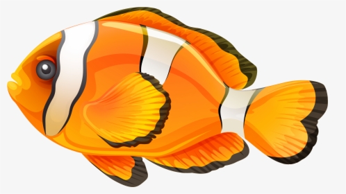 Clownfish Clip Art - Transparent Background Fish Clipart Transparent, HD Png Download, Free Download