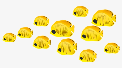 Fish Clip Art - No Background Fish Clipart, HD Png Download, Free Download