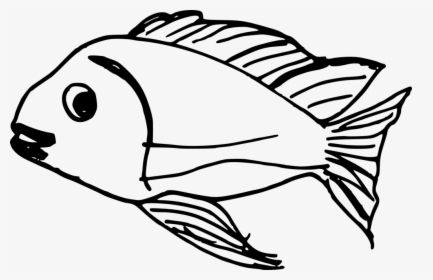 Fish Png For Drawing, Transparent Png, Free Download