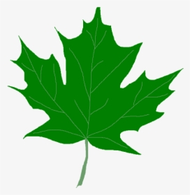 Green Leaf Clipart Green Maple Leaves Clipart Clip - Green Maple Leaf Clipart, HD Png Download, Free Download