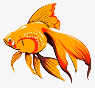 Fish Gif Png, Transparent Png, Free Download