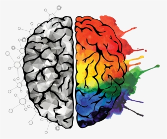 Linke Und Rechte Gehirnhälfte Zeichnen - Learning Brain, HD Png Download, Free Download