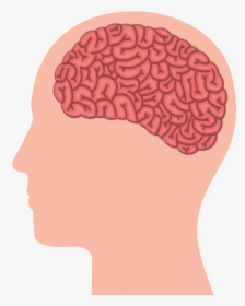 Working Vector Human Brain - Do You Stay Mentally Healthy, HD Png Download, Free Download