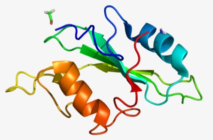 Protein Itk Pdb 1lui No Fog - Graphic Design, HD Png Download, Free Download