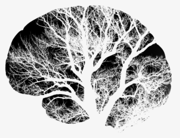 Brain Neurons Black And White, HD Png Download, Free Download