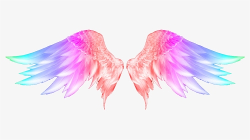 Transparent Feather Tattoo Png - Angel Wings Png Hd, Png Download, Free Download