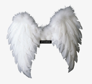 Baby Angel Wings Png , Png Download - Baby Angel Wings Png, Transparent Png, Free Download