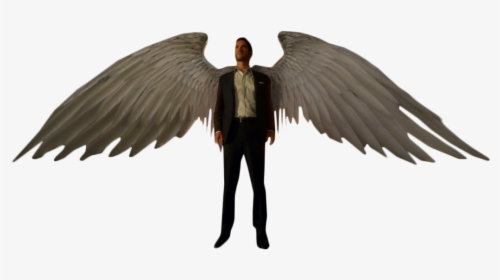 Lucifer Morning Star With Wings Png Image - Lucifer Angel Wings Png, Transparent Png, Free Download