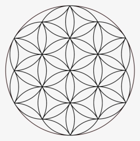 Overlapping Circles Grid Sacred Geometry Vitruvian - Flower Of Life Simple, HD Png Download, Free Download
