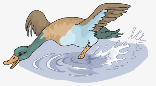 Duck In Water Png Cartoons, Transparent Png, Free Download