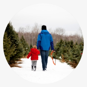 Christmas Tree Walking Transparent - Holding Hands, HD Png Download, Free Download