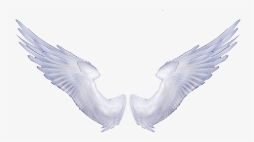 Angel Wings Portable Network Graphics Clip Art Image - Realistic Transparent Angel Wings Png, Png Download, Free Download