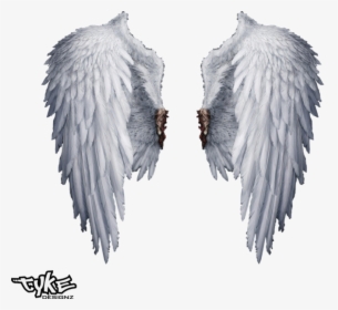 Angel Wings Png Transparent - Transparent Background Angel Wings Png, Png Download, Free Download