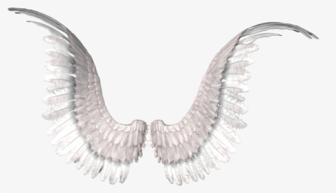 Wings Photo Editing, Tumblr Png, Angel Wings, Image - Golden Retriever With Angel Wings, Transparent Png, Free Download