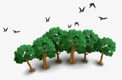Nature, Trees Png Image Free Download Searchpng - Tree, Transparent Png, Free Download